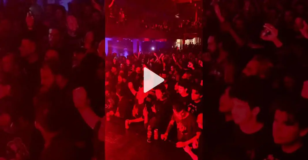 Regarder le vid&eacute;o TikTok!